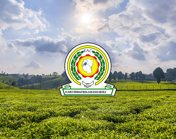 About EAC MRA Digital Platform